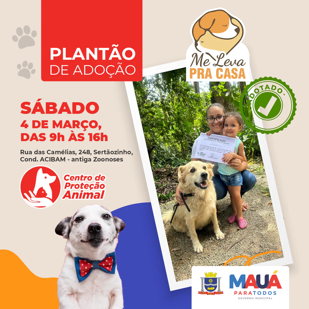 Prefeitura de Mauá promove novo plantão de adoção de cães e gatos