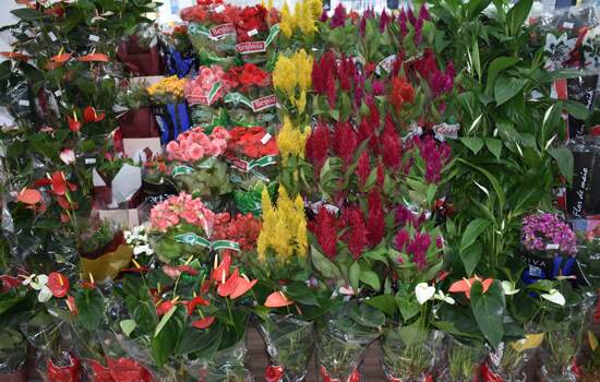 Pandemia aumenta procura por flores em supermercado