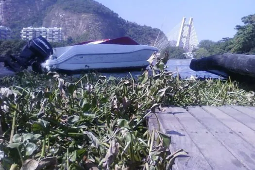 Retirada de gigogas da Barra da Tijuca deve terminar nesta quinta (12)_x000D_