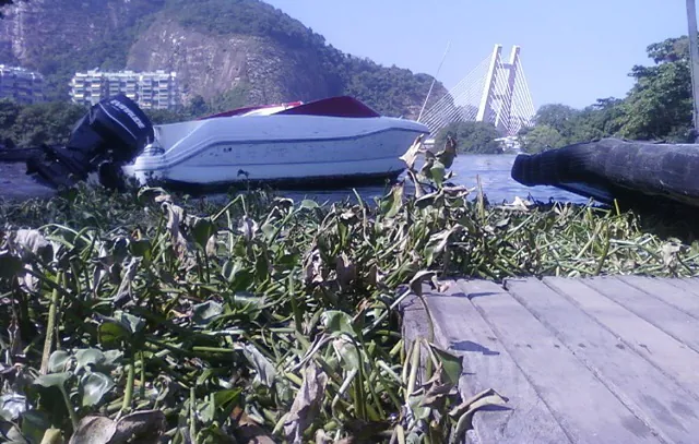 Retirada de gigogas da Barra da Tijuca deve terminar nesta quinta (12)_x000D_