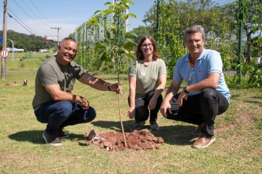 Wet´n Wild inicia em Itupeva o plantio de 25 árvores por mês