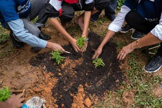 IMCD realiza plantio de árvores em orfanato em Diadema