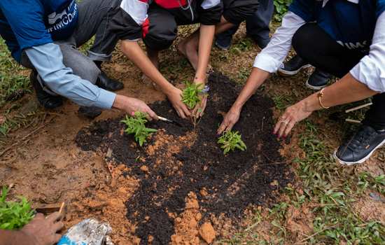 IMCD realiza plantio de árvores em orfanato em Diadema