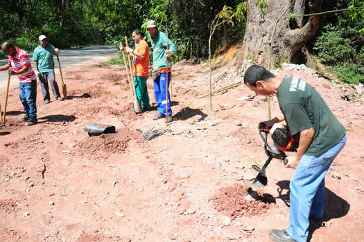 Diadema recupera ponto de descarte irregular de lixo