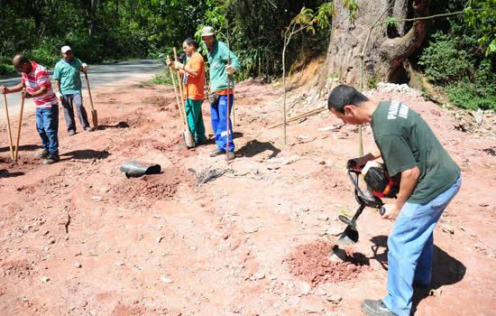 Diadema recupera ponto de descarte irregular de lixo