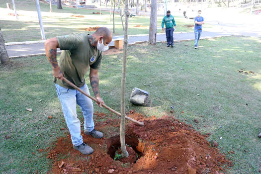 Diadema realiza plantio de 50 mudas nativas na Praça da Moça