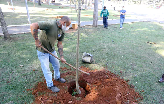 Diadema realiza plantio de 50 mudas nativas na Praça da Moça