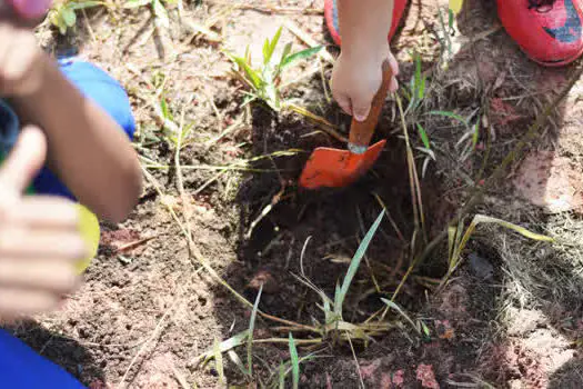 A importância do contato com a natureza da primeira infância até a adolescência