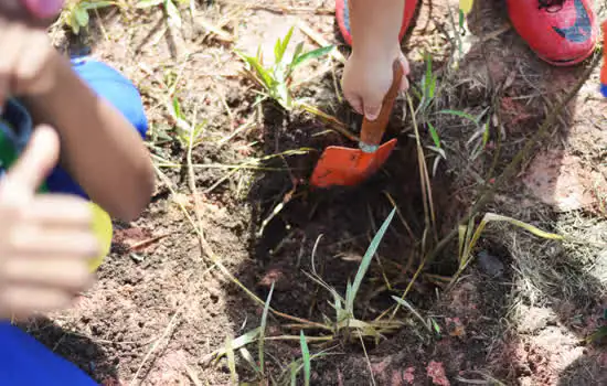 A importância do contato com a natureza da primeira infância até a adolescência