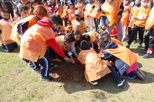 Alunos do Mais Educação realizam plantio em Diadema