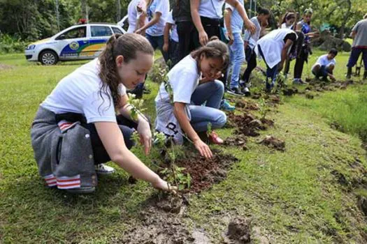 Dia do Meio Ambiente: Estudantes da rede estadual de Mauá plantam mudas em parque