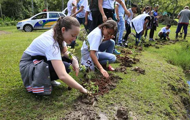 Dia do Meio Ambiente: Estudantes da rede estadual de Mauá plantam mudas em parque