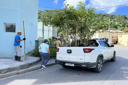 Visite Guarujá apoia plantio de mais de 300 mudas de árvores nativas