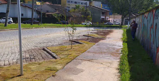 Ribeirão Pires planta novas mudas em frente a escola municipal