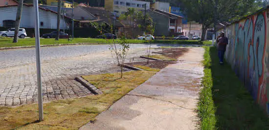 Ribeirão Pires planta novas mudas em frente a escola municipal