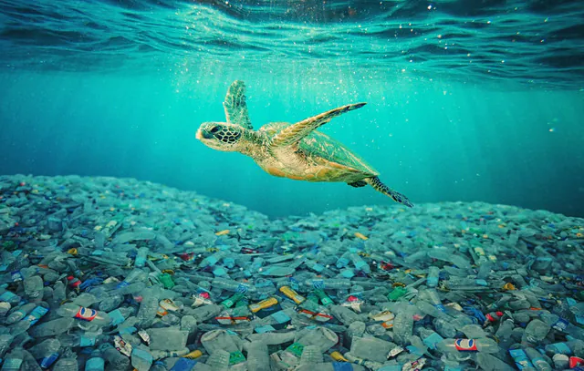 Ciranda em Noronha por oceanos sem plásticos