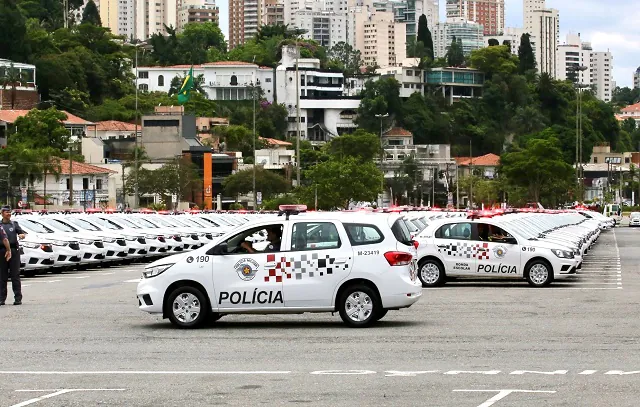 Frentes parlamentares têm como foco temas relacionados à área da Segurança Pública