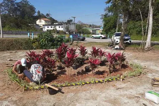 Meio Ambiente Ribeirão Pires implanta Pomar Urbano na Santa Luzia