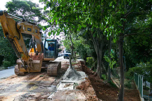 Praça das Andorinhas passa por reforma em São Caetano