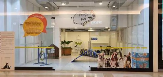 Feira de Adoção de Cães e Gatos no Shopping Praça da Moça