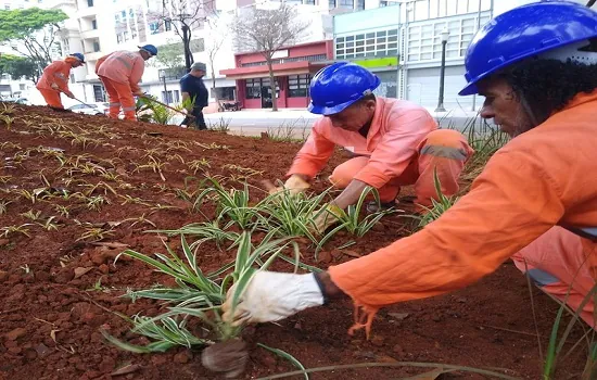 Prefeitura de SP entrega 19 praças revitalizadas no Centro da cidade