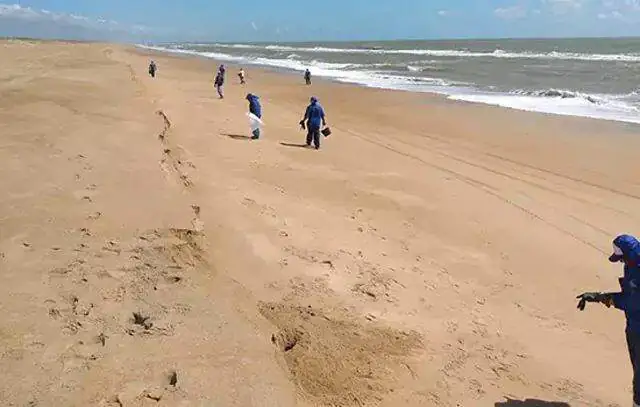 Ação Sabesp de Solidariedade mobiliza cidades para celebrar Dia do Voluntariado