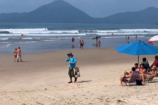 Aumento de pessoas no mar pode explicar mais ocorrências com tubarões