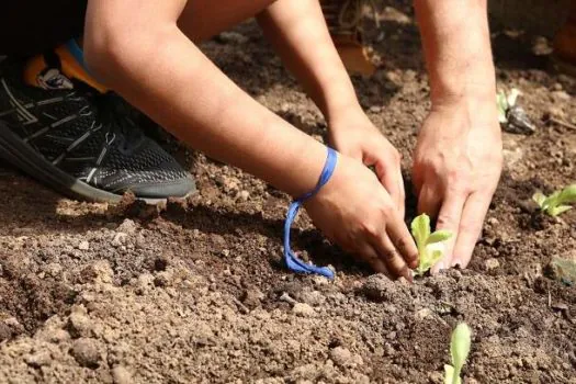 Prefeitura de SP abre vagas para mães de alunos da rede municipal