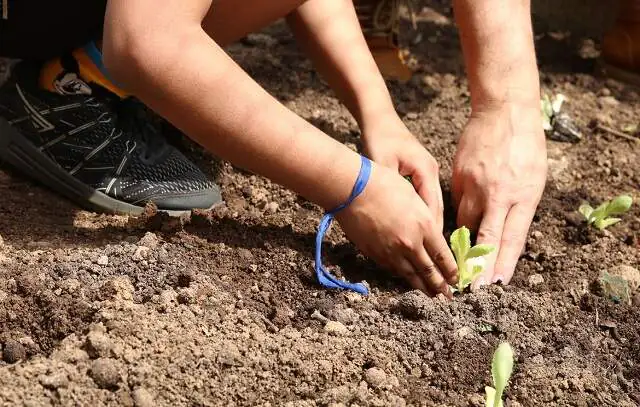 Prefeitura de SP abre vagas para mães de alunos da rede municipal