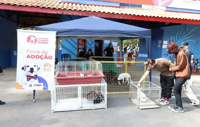 Prefeitura de Mauá promove o ‘Lazer na Gruta’ neste domingo