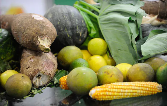 São Paulo institui programa municipal de combate ao desperdício de alimento