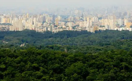 Estado de São Paulo é indicado ao prêmio global “The Earthshot Prize”