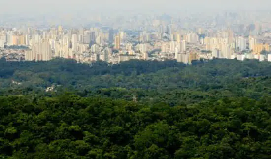 Estado de São Paulo é indicado ao prêmio global “The Earthshot Prize”