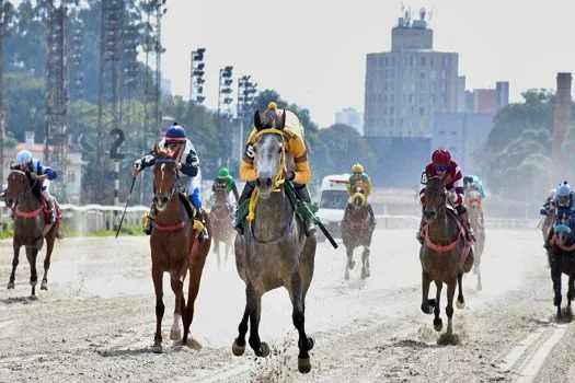 Grande Prêmio ABCCA 2021 acontece neste sábado no Jockey Club de SP