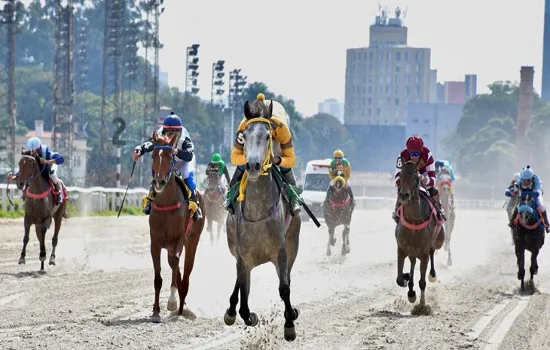 Grande Prêmio ABCCA 2021 acontece neste sábado no Jockey Club de SP