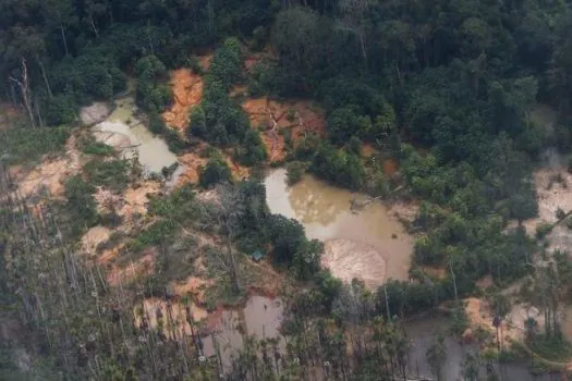 Cinco pessoas são detidas com ouro e armas em terra yanomami