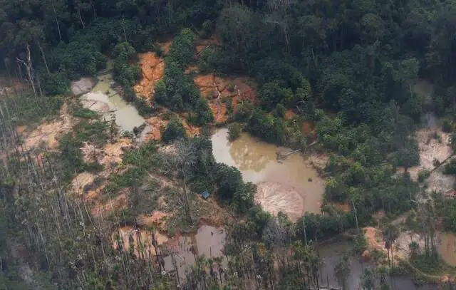 Cinco pessoas são detidas com ouro e armas em terra yanomami