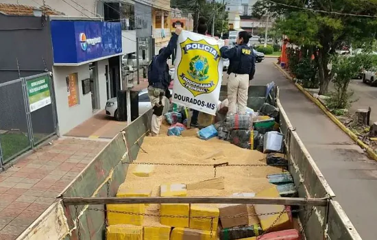 PRF faz a maior apreensão de maconha do ano em Ponta Porã