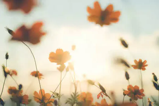 Sexta-feira de primavera no Brasil: calor e temporais