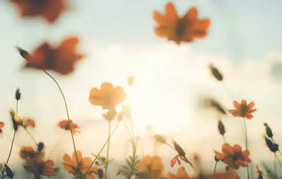 Sexta-feira de primavera no Brasil: calor e temporais