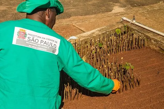 Em SP, Hospital municipal na zona sul recebe mudas para arborizar o espaço