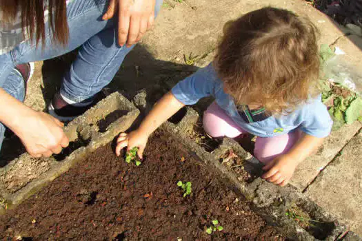 Projeto de educação ambiental de Santo André é destaque nacional