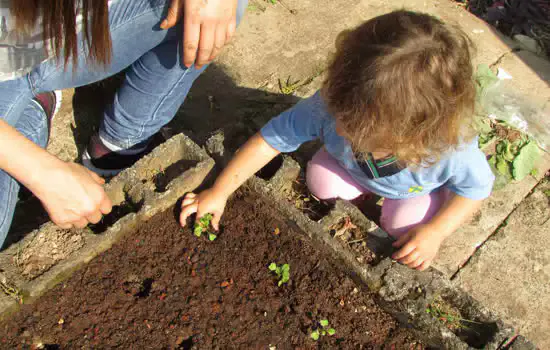 Projeto de educação ambiental de Santo André é destaque nacional