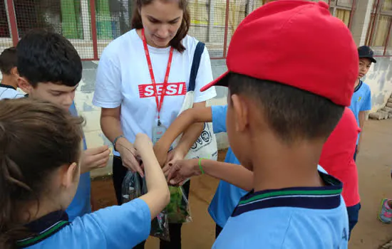 Programa Braskem de Educação Ambiental promove reciclagem em escolas do ABC