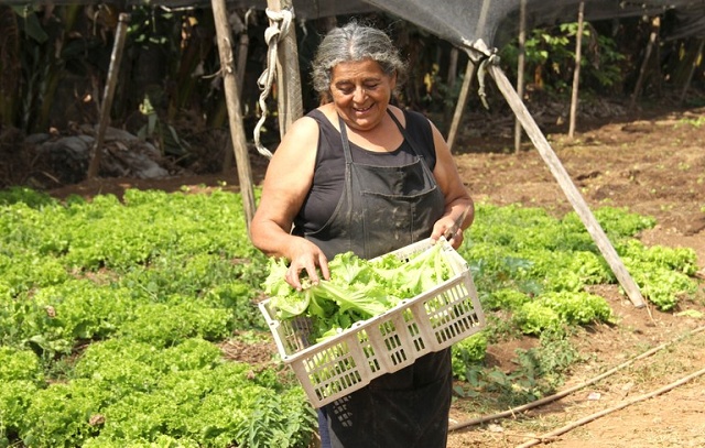 Programa Sampa+Rural