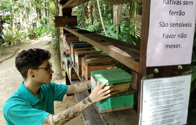 Diadema vai inaugurar meliponários do projeto “Tem Abelha no Meu Jardim”