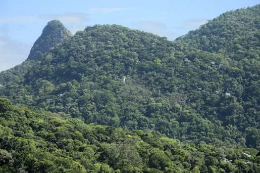 Projeto da Fiocruz vai restaurar, no Rio, área da Mata Atlântica