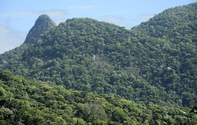 Projeto da Fiocruz vai restaurar