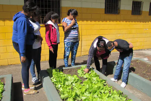 APAE – Mauá inova currículo pedagógico e desenvolve o projeto “Horta”