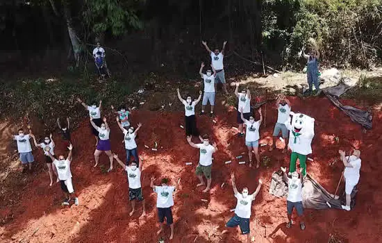 Grupo Quality Brasil lança projeto ‘Sono Quality Verde’ em prol da Amazônia